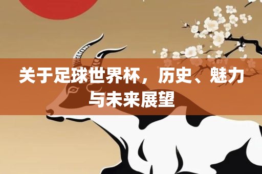 关于足球世界杯，历史、魅力与未来展望