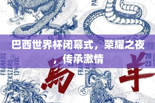 巴西世界杯闭幕式，荣耀之夜，传承激情常熟市高丰毛纺织品有限公司