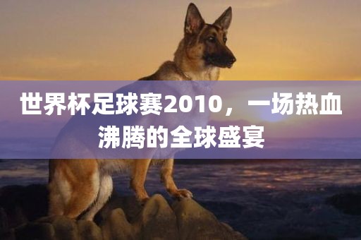 世界杯足球赛2010，一场热血沸腾的全球盛宴常熟市高丰毛纺织品有限公司