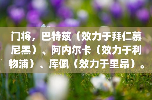 门将，巴特兹（效力于拜仁慕尼黑）、阿内尔卡（效力于利物浦）、库佩（效力于里昂）。