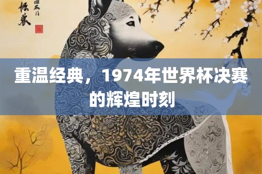 重温经典，1974年世界杯决赛的辉煌时刻