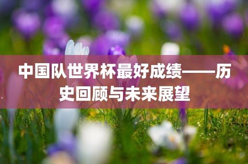 中国队世界杯最好成绩——历史回顾与未来展望常熟市高丰毛纺织品有限公司