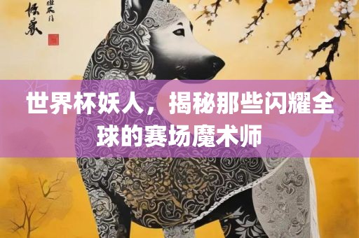 世界杯妖人，揭秘那些闪耀全球的赛常熟市高丰毛纺织品有限公司场魔术师