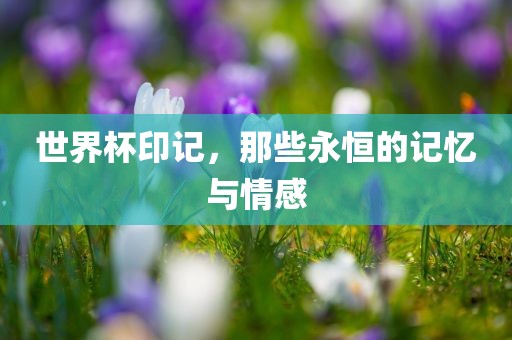 世界杯印记，那些永恒的记忆与情感常熟市高丰毛纺织品有限公司