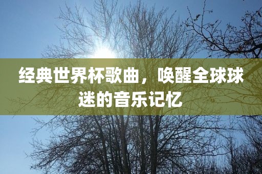 经典世界杯歌曲，唤醒全球球迷的音乐记忆