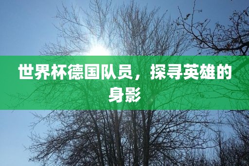 世界杯德常熟市高丰毛纺织品有限公司国队员，探寻英雄的身影