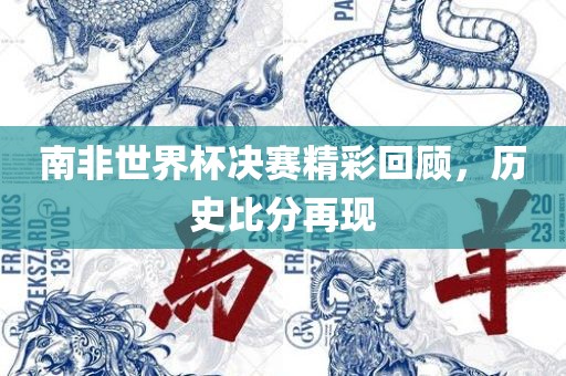 南非世界杯决赛精彩回顾，历史比分再现