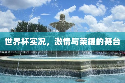 世界杯实况，激情与荣耀的舞台