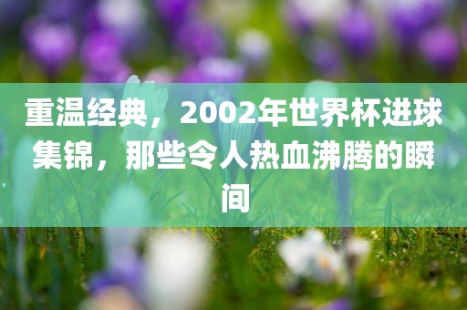 重温经典，2002年世界杯进球集锦，那些令人热血沸腾的瞬间