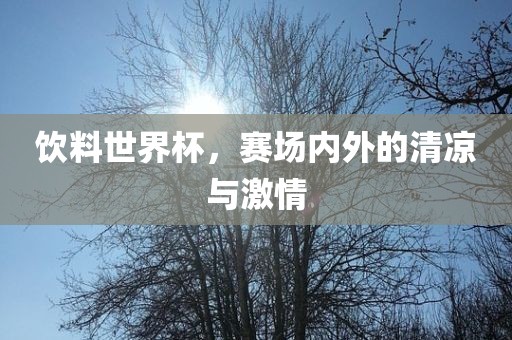 饮料世界杯，赛场内外的清凉与激情常熟市高丰毛纺织品有限公司