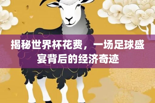 揭秘世界杯花费，一场足球盛宴背后的经济奇迹常熟市高丰毛纺织品有限公司