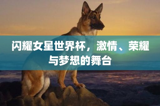 闪耀女星世界杯，激情、荣耀与梦想的舞台常熟市高丰毛纺织品有限公司