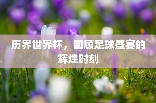 历界世界杯，回顾足球盛宴的辉煌时刻