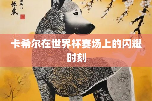 卡希尔在世界杯赛场上的闪耀时刻常熟市高丰毛纺织品有限公司