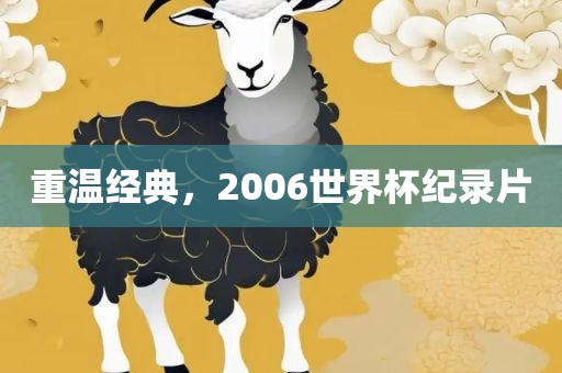 重温经典，2006世界杯纪录片