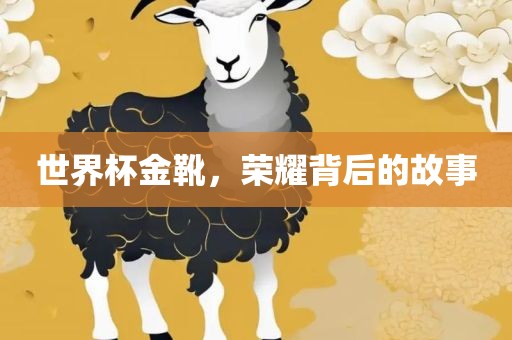 世界杯金靴，荣耀背后的故事