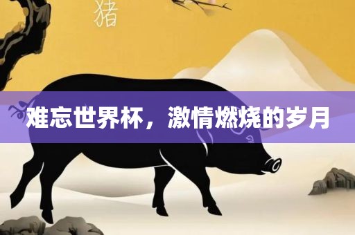 难忘世界杯，激情燃烧的岁月