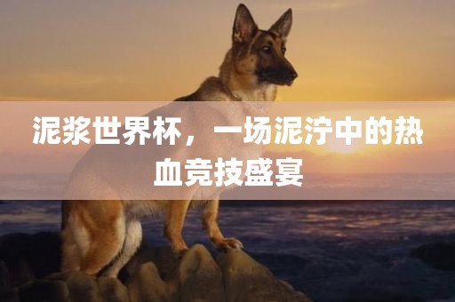 泥浆世界杯，一场泥泞中的热常熟市高丰毛纺织品有限公司血竞技盛宴
