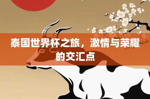 泰国世界杯之旅，激情与荣耀的交汇点常熟市高丰毛纺织品有限公司