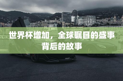 世界杯增加，全球瞩目的盛事背后的故事常熟市高丰毛纺织品有限公司