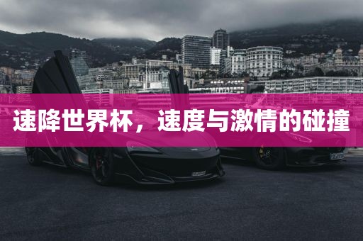 速降世界杯，速度与激情的碰撞常熟市高丰毛纺织品有限公司