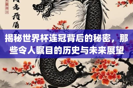 揭秘世界杯连冠背后的秘密，那些令人瞩目的历史与未来展望