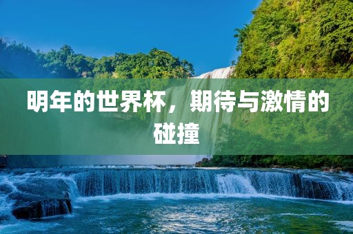 明年的世界杯，期待与激情的碰撞