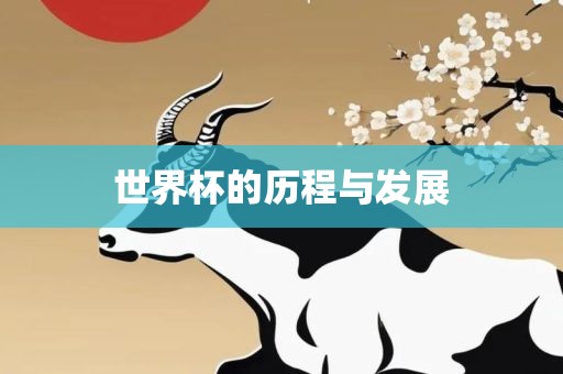 世界杯的历程与发展常熟市高丰毛纺织品有限公司