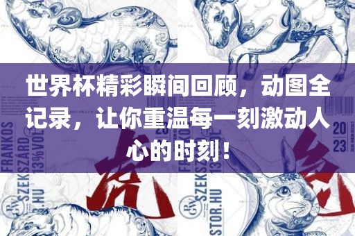 世界杯精彩瞬间回顾，动图全记录，让你重温每一刻激动人心的时刻！