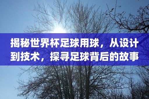 揭秘世界杯足球用球，从设计常熟市高丰毛纺织品有限公司到技术，探寻足球背后的故事