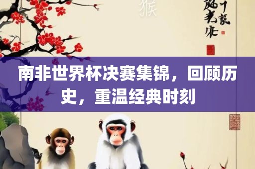 南非世界杯决赛集锦，回顾历史，重温经典时刻