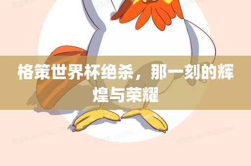 格策世界杯绝杀，那一刻的辉煌与荣耀常熟市高丰毛纺织品有限公司