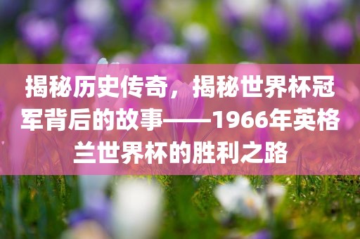 揭秘历史传奇，揭秘世界杯冠军背后的故事——1966年英格兰世界杯的胜利之路