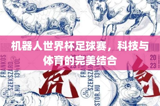机器人世界杯足球赛，科技与体育的完美结合常熟市高丰毛纺织品有限公司