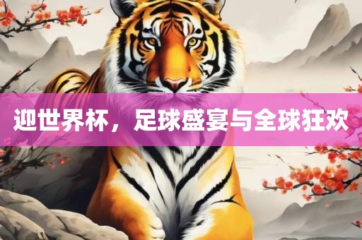 迎世界杯，足球盛宴与全球狂欢常熟市高丰毛纺织品有限公司
