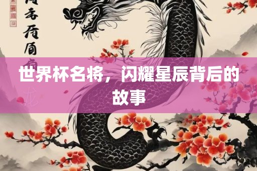 世界杯名将，闪耀星辰背后的故事常熟市高丰毛纺织品有限公司