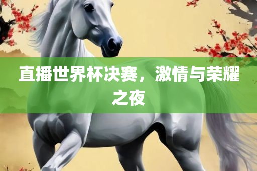 直播世界常熟市高丰毛纺织品有限公司杯决赛，激情与荣耀之夜