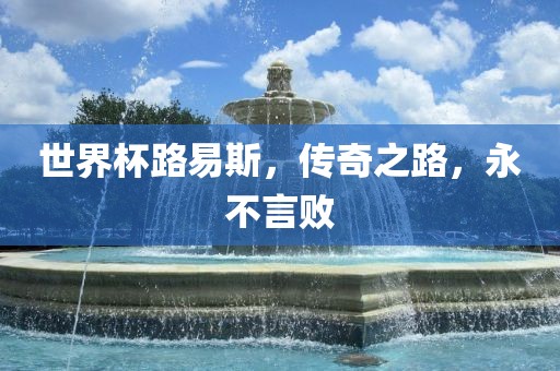 世界杯路易斯，传奇之路，永不言败