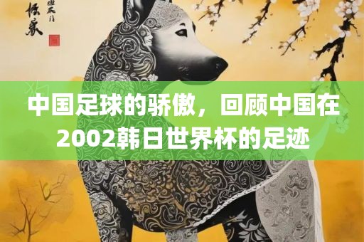 中国足球的骄傲，回顾中国在2002韩日世界杯的足迹
