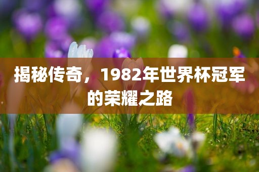 揭秘传奇，1982年世界杯冠军的荣耀之路常熟市高丰毛纺织品有限公司