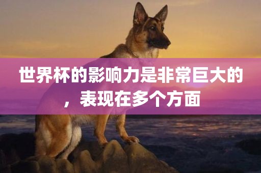 世界杯的影响力是非常巨大的，表现在多个方面常熟市高丰毛纺织品有限公司