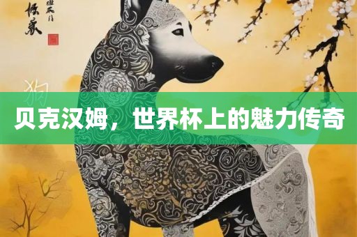 贝克汉姆，世界杯上的魅力传奇常熟市高丰毛纺织品有限公司
