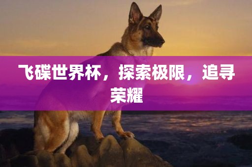 飞碟世界杯，探索极限，追寻荣耀常熟市高丰毛纺织品有限公司
