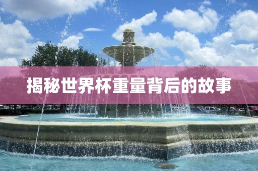 揭秘世界杯重量背后的故事常熟市高丰毛纺织品有限公司