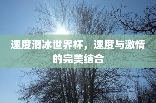 速度滑冰世界杯，速度常熟市高丰毛纺织品有限公司与激情的完美结合