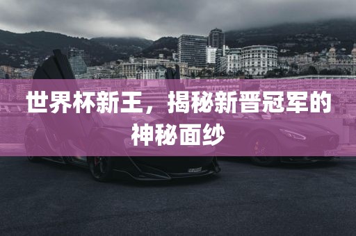 世界杯新王，揭秘新晋冠军的神秘面纱常熟市高丰毛纺织品有限公司