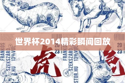 世界杯2014精彩瞬间回放