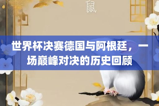 世界杯决赛德国与阿根廷，一场巅峰对决的历史回顾