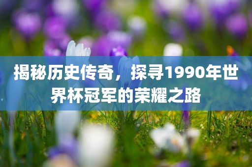 揭秘历史常熟市高丰毛纺织品有限公司传奇，探寻1990年世界杯冠军的荣耀之路