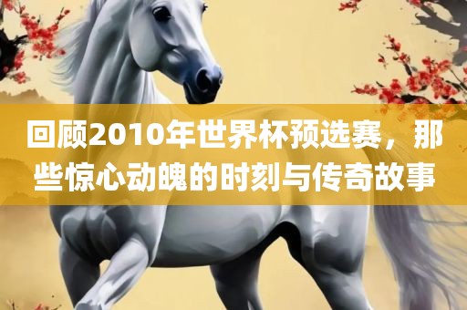 回顾2010年世界杯预选赛，那些惊心动魄的时刻与传奇故事常熟市高丰毛纺织品有限公司